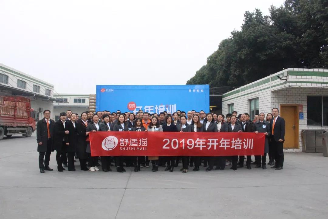 新年新起點，蓄勢再出發——舒適貓2019年開年培訓