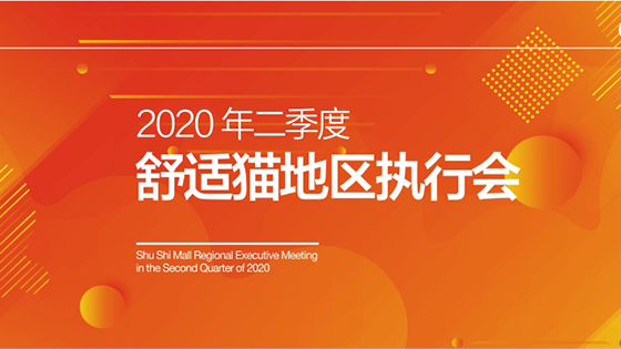 凝聚力量，堅定前行——舒適貓2020年第二季度地區執行會